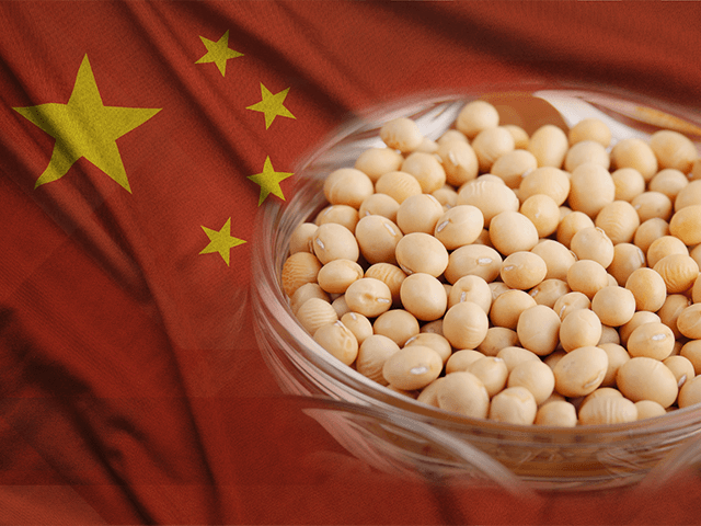 China buscará maior produtividade de grãos para garantir segurança alimentar